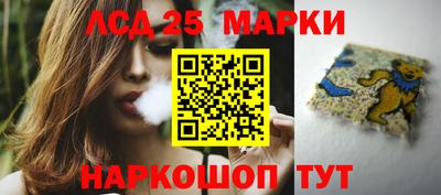 шишки Донецк