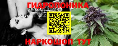 шишки Донецк