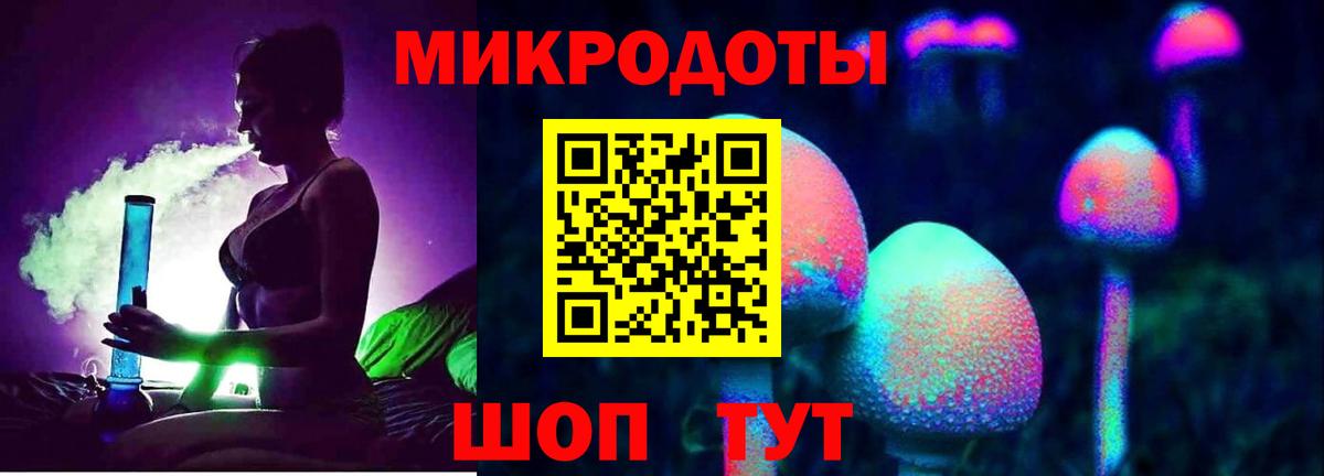 Псилоцибиновые грибы Psilocybine cubensis Дивногорск